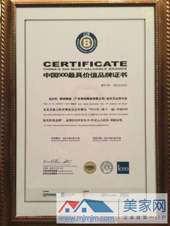 中國最具價值品牌500強證書